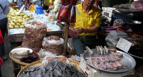 Headless fishes.