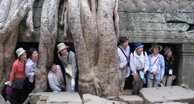 Korean tourists.