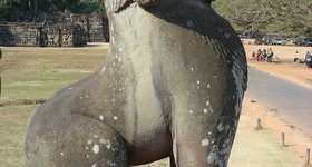 Lion guardians to a temple.