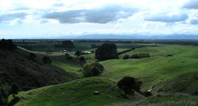 North Island scenery. Surprisingly, no sheep in this view