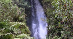 Near Rorotura. No other pix of the North Island... It rained for 3 days straight!