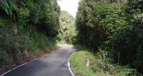 A dry moment, near Wellington