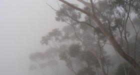 The stunning view of the seemingly endless forest near Katoomba.