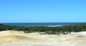 Most of Fraser Island is covered by dense forest, but in some places it is bare dunes.